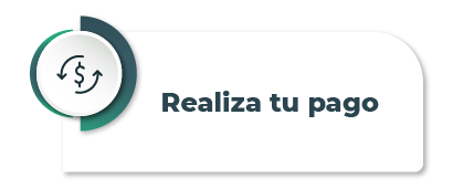 2-realiza-tu-pago