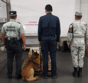 Precursor_tijuana1