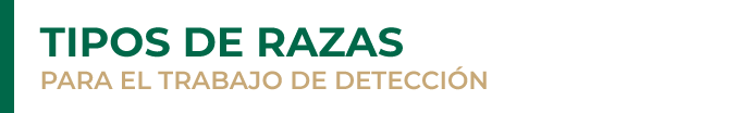 1_tipos_razas