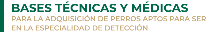 3_bases_técnicas