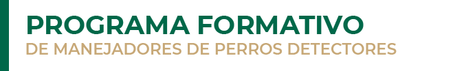 4_titulo_programa_formativo