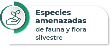 BTN18_pasajeros
