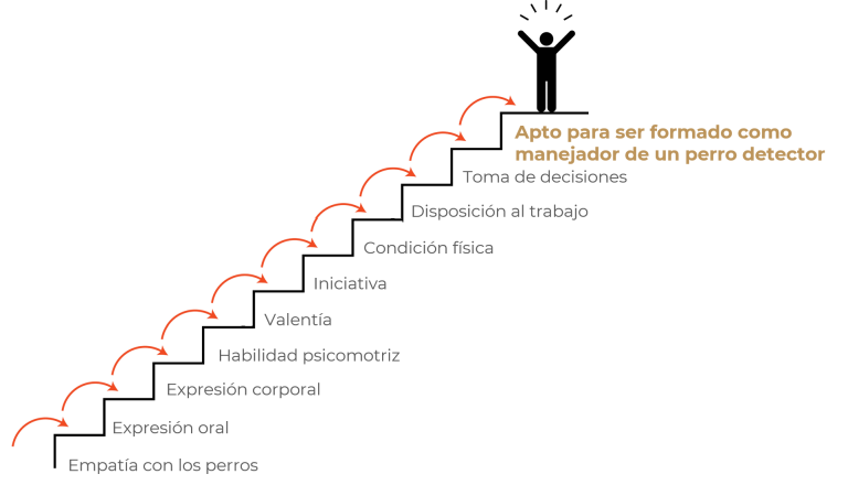 Imagen13