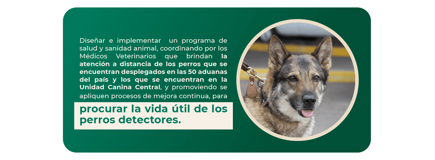 2_programa_salud