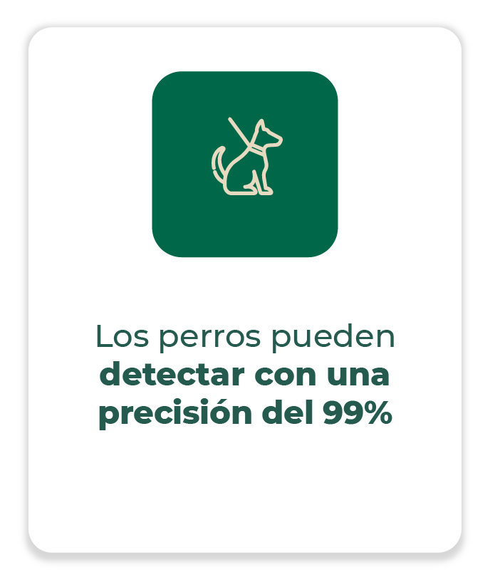 3_beneficio