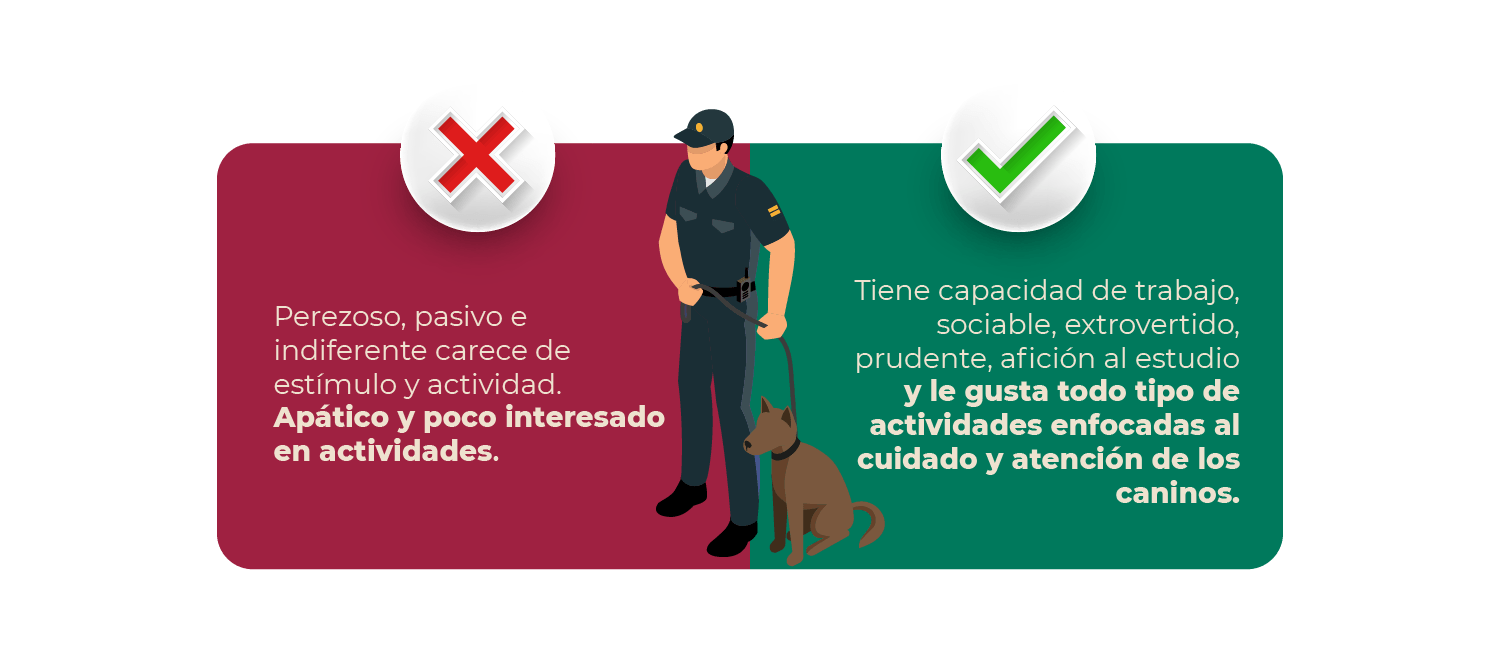 3_caracteristicas