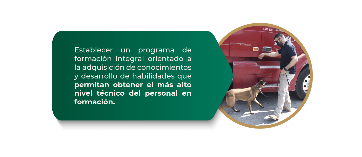 4_curso_formacion