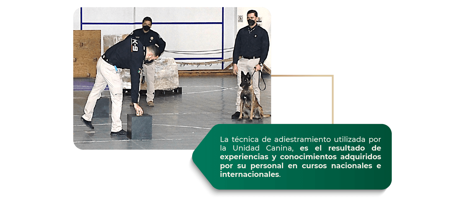 4_tecnicas_b