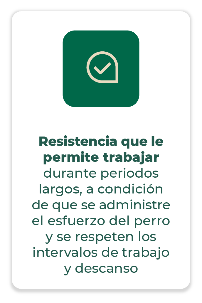 6_beneficio