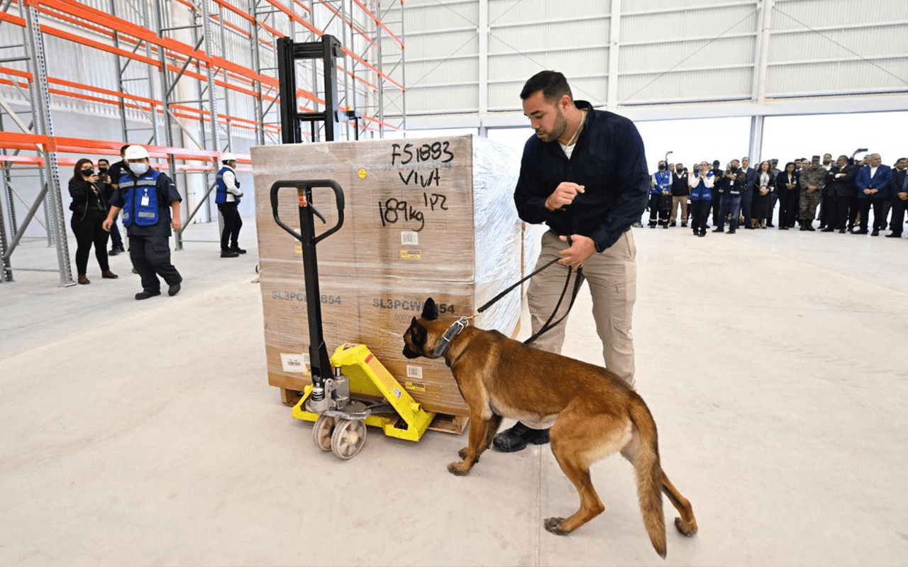 8_deteccion_canina