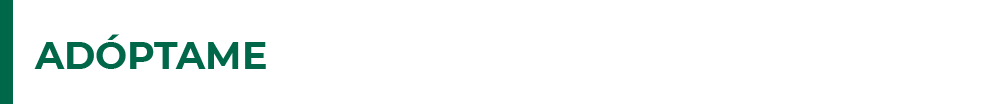 btn_adoptame