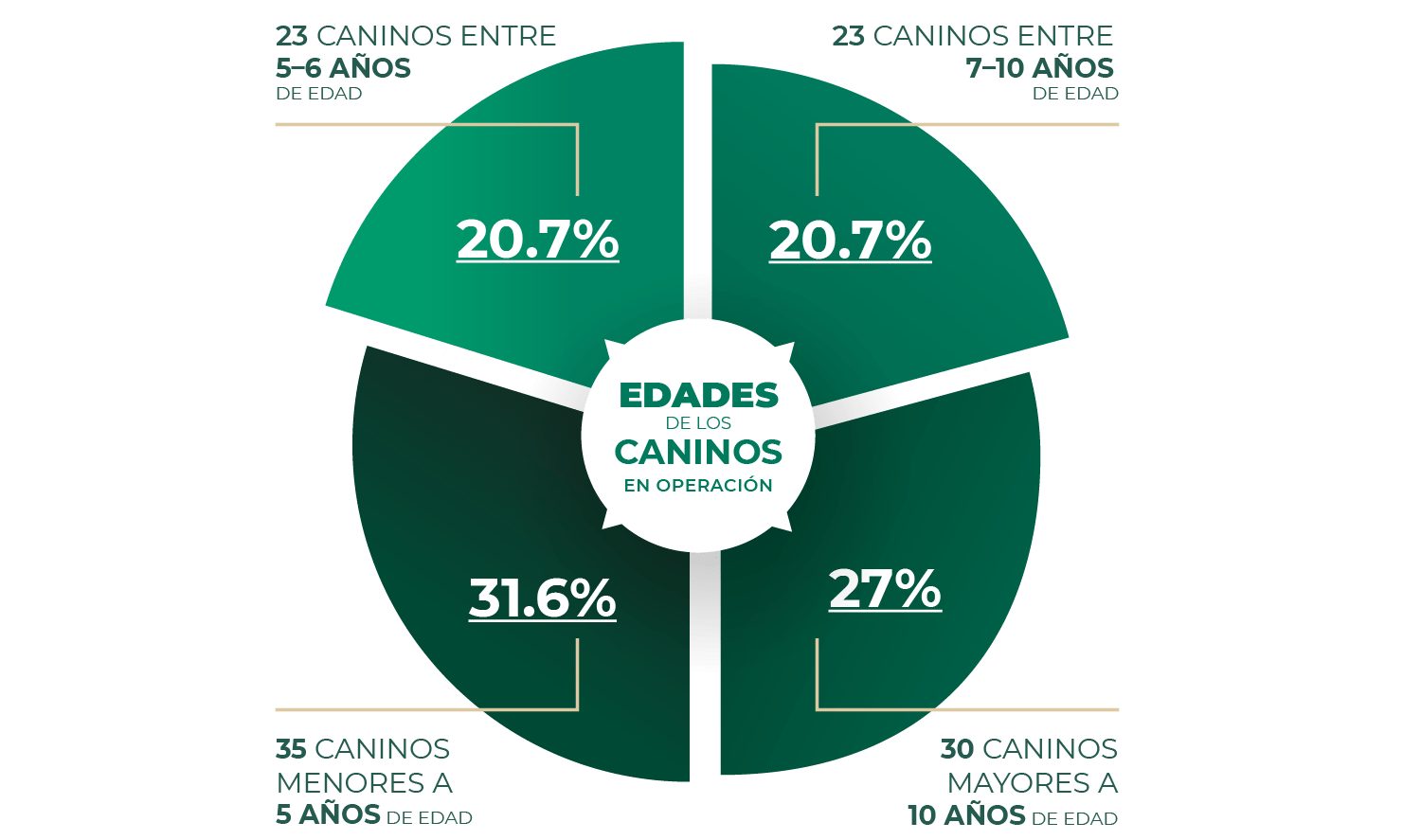 edades_caninos