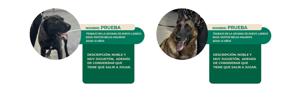 ejemplo_adopción