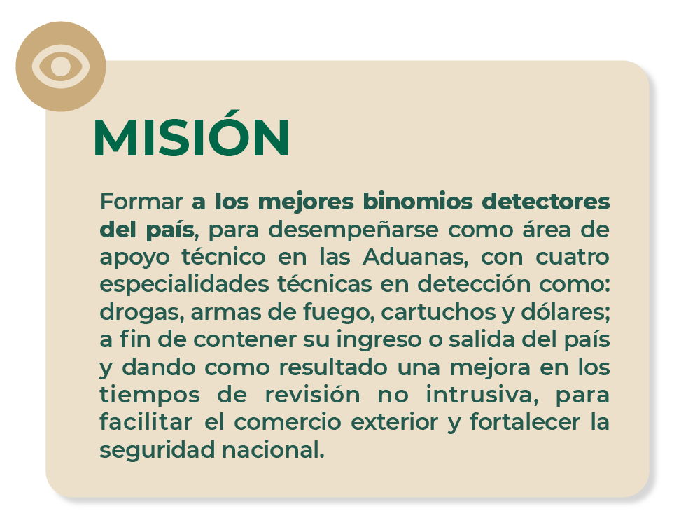 3_misión_final