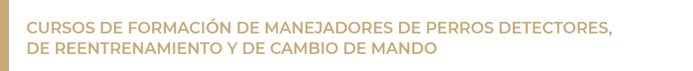 7_curso_de_formación
