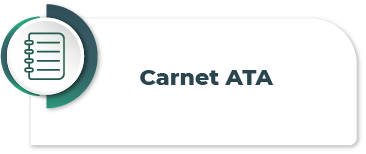 btn6_cargaIT