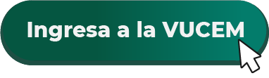 btnitaliano_vucem